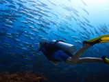 Top 8 Must Try Water Activities in Goa