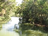 Kaveri Nisargadhama : Abode of Nature 