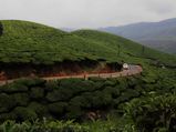 A Scenic Road Trip From Bangalore to Munnar