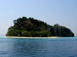 Did You Know About Marine Parks in India ?!