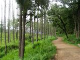 10 Fantastic Road Trips From Bangalore You Should Never Miss!