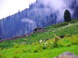 8 Tourist Places in North India to Cool Off this Summer