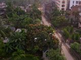 10 Greenest Cities of India For a Soulful Time