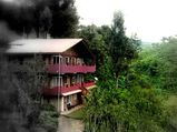 Homestays – For a Feel-At-Home Experience