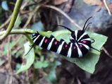 Lesser Known Wildlife Destinations in India