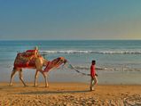 Hypnotising Beaches in Odisha!