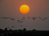 Soak in the White Desert: The Rann of Kutch in Gujarat