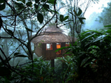 Best Tree House Resorts in Kerala For the 'Junglee' in You!