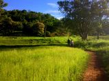 Amazing Hill Stations Near Bengaluru For a Quick Visit