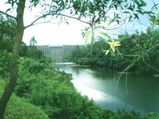Tapola: A Quiet Hub