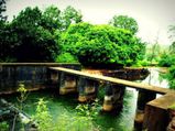 Did the Angels Come to Apsarakonda?