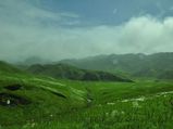 Astonishing Beauty of Dzukou Valley in Nagaland