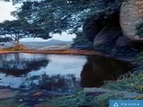 Want to see how cool is editing - Use PRISMA and be a winner! - Native Planet Prisma Contest