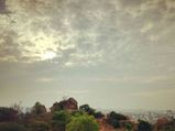 The soothing Turahalli forests; The last standing forest in Bangalore!