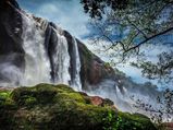 7 Things to Know About Athirappilly Falls 