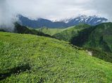 Feel Cozy in the Nature's Blankets – Grasslands in India