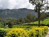 3 Best Road Trips in Kerala Where Nature Devours You!