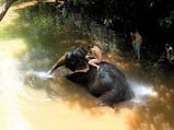 5 Top Offbeat Things to do in Goa!