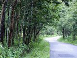 7 Simple Travel Tips For Road Trips 