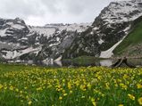 Trek in the majestic landscape of Harmukh peak !