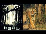 Top 7 Movies That Make You Travel India