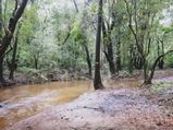 A Day in Mollem National Park