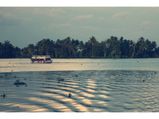 Beautiful Islands Are Calling For You In The God's Own Country! 