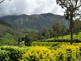 7 Unknown Offbeat destinations In Idukki - Part II