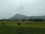 An Enchanting Day in the 'Ooty of Andhra Pradesh'!