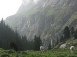 Travel to this valley of Marijuana where Lord Shiva meditated for 3000 years!