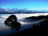 Reaching Out to Himalayas: A Photo Tour of Kausani!