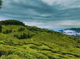 Mirik: A Place To Be Remembered!