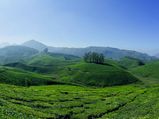 Best of 2016: 10 Top Hill Stations in South India this Winter 