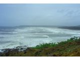 A tour through the majestic forts and serene beaches at the home of 'Mangoes' King'! 