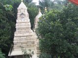 One Day at Ragigudda Anjaneya Swamy Temple in Bengaluru