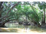 6 Romantic Places in Kerala That Are Just Magical