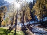 Travel to the Meadow of Gold with a surreal backdrop!