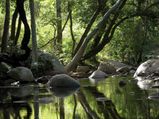 A Dream Trip From Coimbatore To Munnar