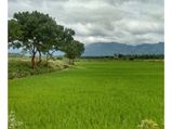 Places to Travel in South India this January