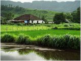 Exploring the Former Big Boss Location, Trekking & More in Karjat Tourism