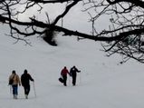 7 Top Snowfall Destinations in India 