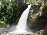 Here’s Why You Should Visit Wayanad