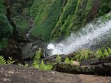 A Winter Trip From Bangalore To Agumbe