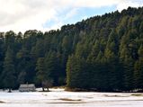 A Glimpse At Khajjiar In Himachal Pradesh – The Switzerland Of India