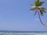 A Detailed Guide To Lakshadweep Islands