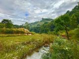 Lambasingi – The Kashmir Of South India