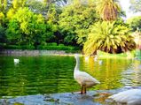Get To Know More About Lodhi Gardens