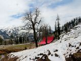 Experience the grandeur of the Himalayas with the Deo Tibba trek