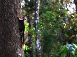Beautiful National Parks To Be Visited In India