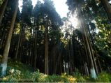 A Travel Guide To Lepchajagat In West Bengal